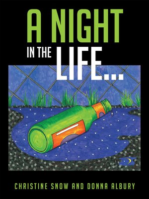 cover image of A Night in the Life...